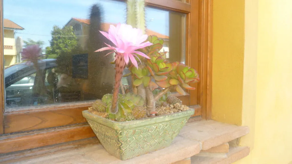 Frühstückspension Le Ginestre B & B Massarosa Italien